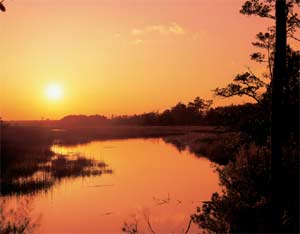Beautiful sunset over the marsh