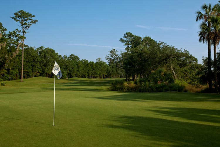 Snee Farm golf green. Mount Pleasant, SC.