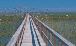 Dock on deep water in Dunes West