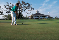 Dunes West Golf Course and Country Club - 18th green