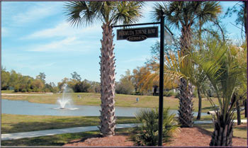 Beautiful Palms and ponds