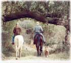 Horseback riding under the living oak