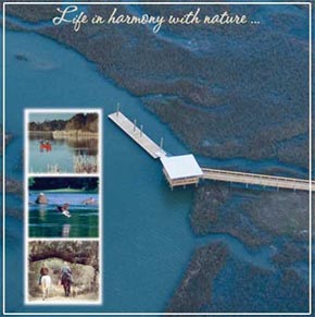 Dock and walkway over deep water marsh